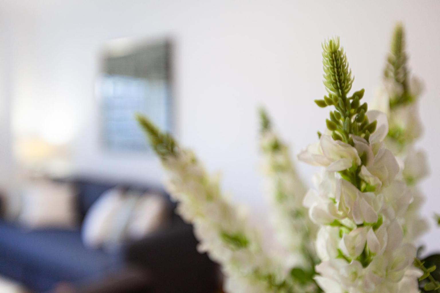 Apartamento Lisboa Sete Rios 外观 照片
